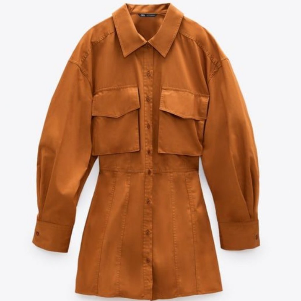 Zara Shirt Dress